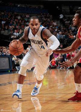 前魔术后卫尼尔森之子!美记:国王签下前锋小贾米尔-尼尔森