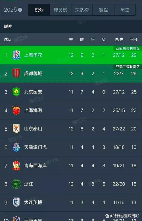 中青赛U21组:上海申花U21队积16分以积分榜第三晋级决赛阶段